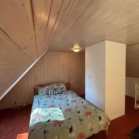 V Národním Parku Cizov (South Moravian)